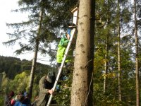 Nistkästen für Fledermäuse